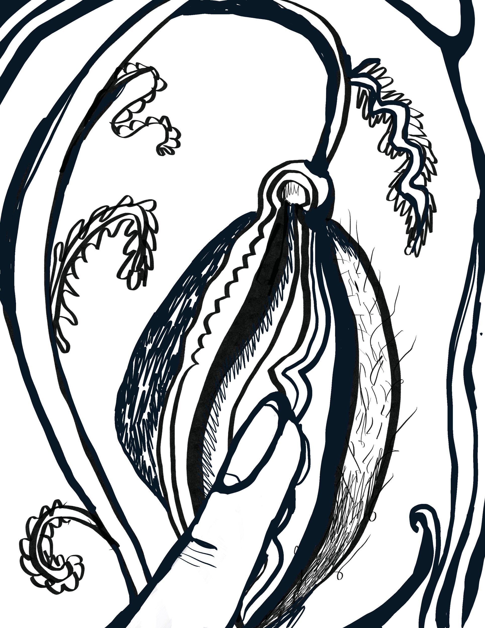 "It Feels Good" Garden Erotica Coloring Book By Elena Stonaker - Shelter Social Club