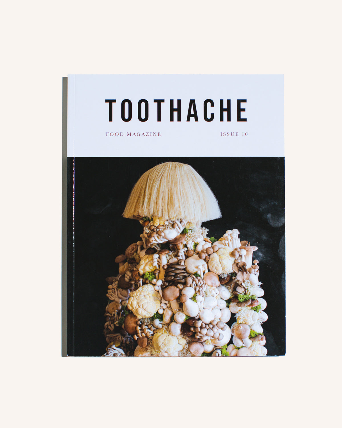 Toothache Magazine Issue 10 - Shelter Social Club