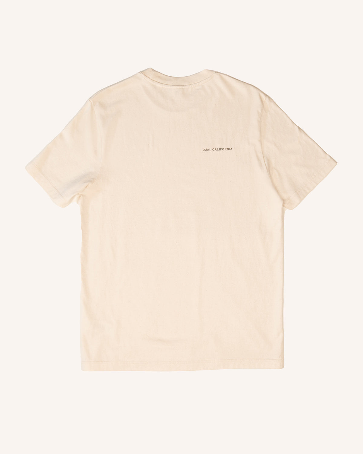 Hummingbird Inn Short Sleeve Tee - Shelter Social Club